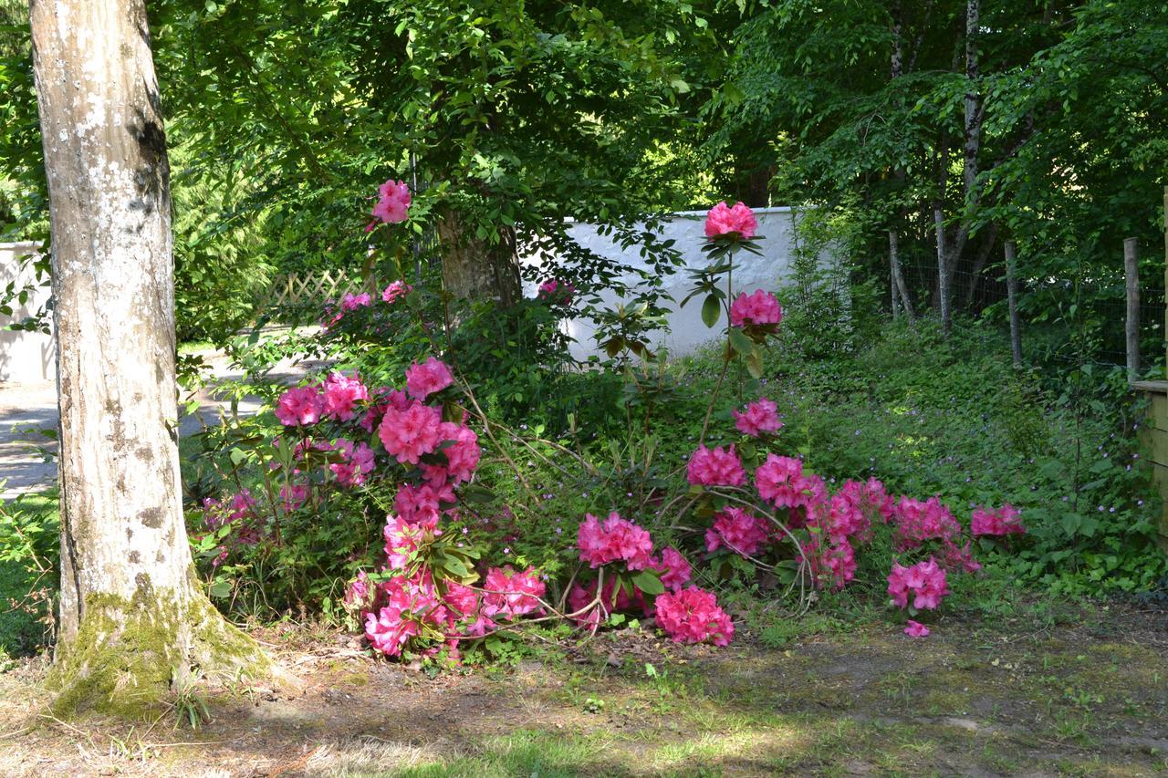 Maison D'Hotes La Chouanniere Les Bois-d'Anjou Exterior photo